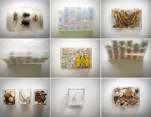 Jen Renninger’s Collection of Boxes: Slideshow: Slide 7