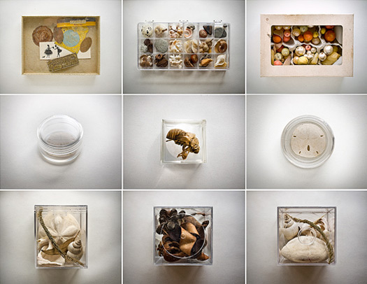 Jen Renninger’s Collection of Boxes: Slideshow: Slide 9