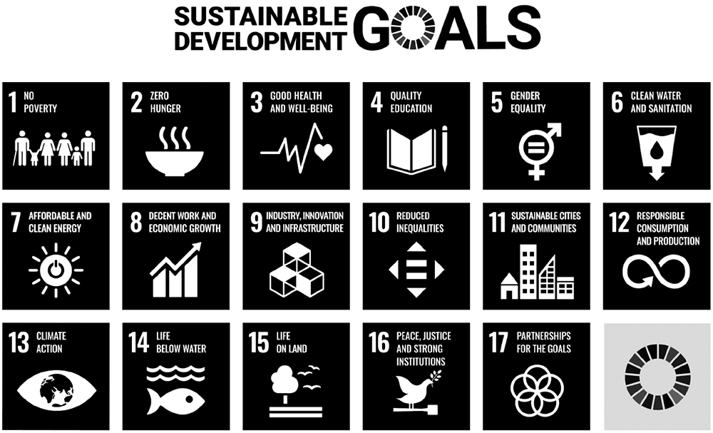 The United Nations’ seventeen Sustainable Development Goals