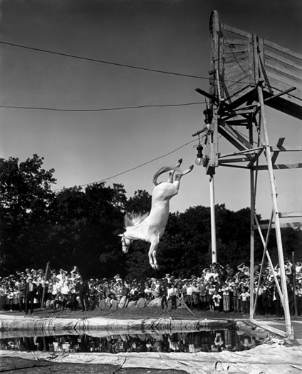 Circus: The Photographs of Frederick W. Glasier: Slideshow: Slide 15