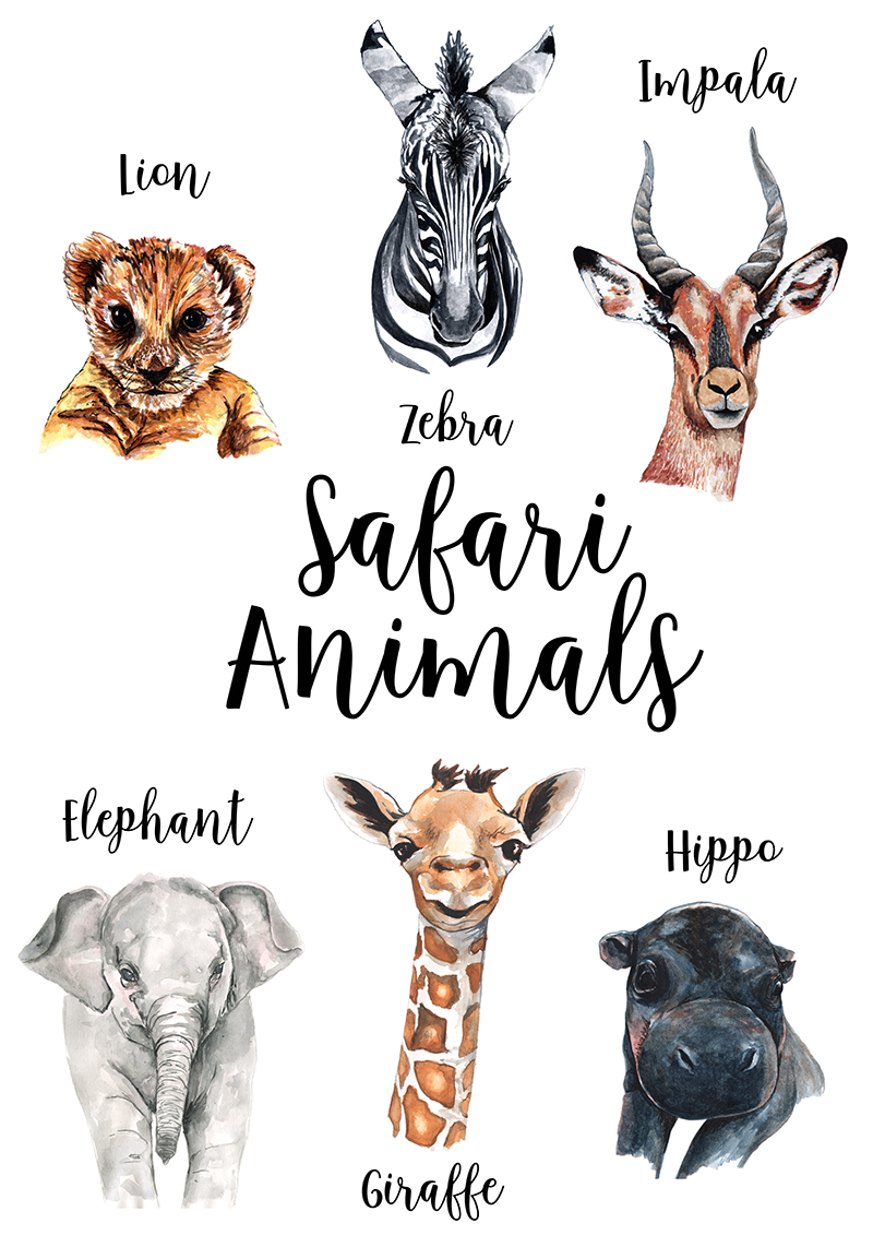 39976-Safari_animals_collection.jpg