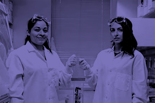 40637-biobots.png