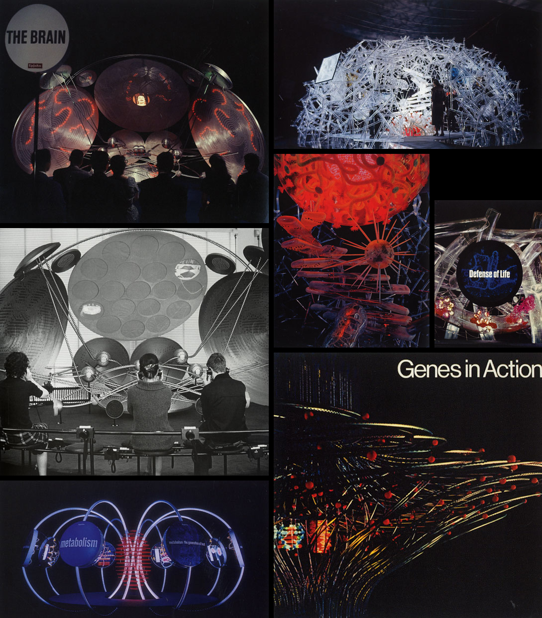 Will Burtin: Design and Science - DesignObserver
