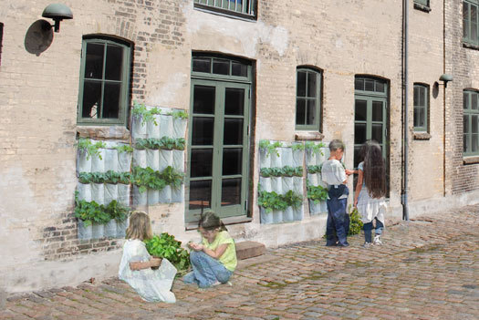 school garden