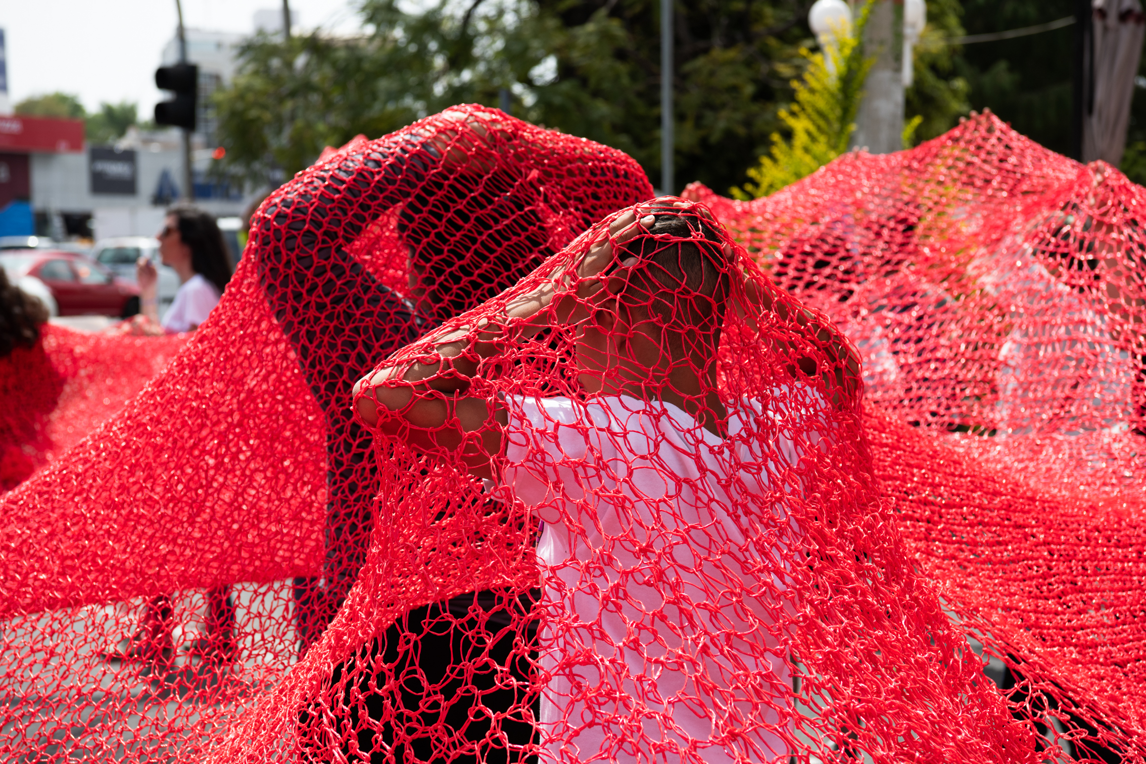 Copia de DSC_2563