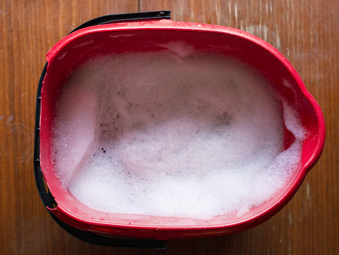 Red Plastic bowl with water